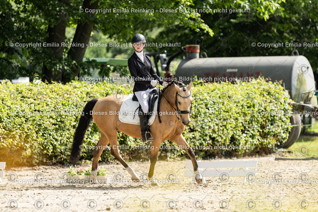 CL5A7721 | Emilia Reinking Fotografie - Realisiert mit Pictrs.com