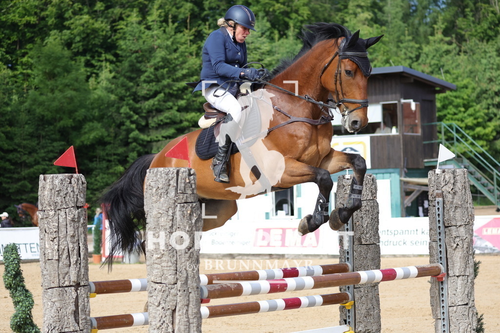 0P6A6418 | Willkommen bei Brunnmayr - Design & Fotografie – Ihrem Spezialisten für Reitturniere und Pferdeveranstaltungen in Oberösterreich, Salzburg und Bayern! Seit über 17 Jahren sind wir leidenschaftlich dabei.