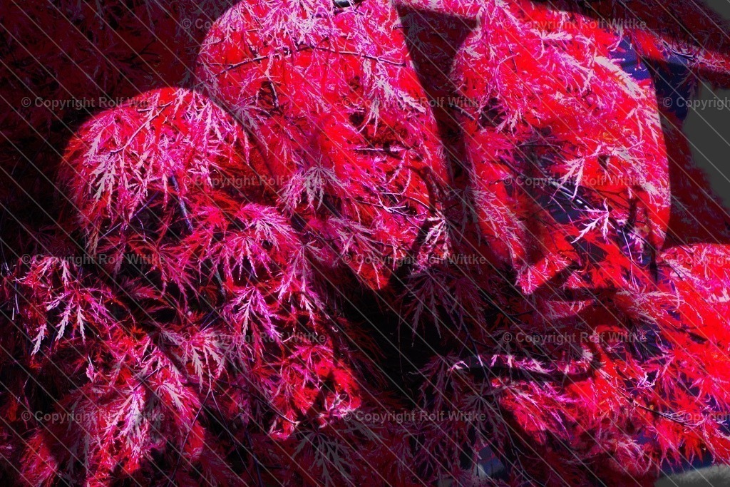 IMG_1797 | Der Horror Nagel - Realisiert mit Pictrs.com