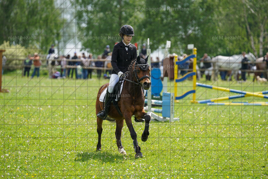 20240509-FAH02350 | Turnierbilder der Turnierfotografen Bayern, Pferdesport Fotografie, Reitsportbilder, Turnier Landberg am Lech, Turnierbilder bayern, Fotoagentur Herrmann