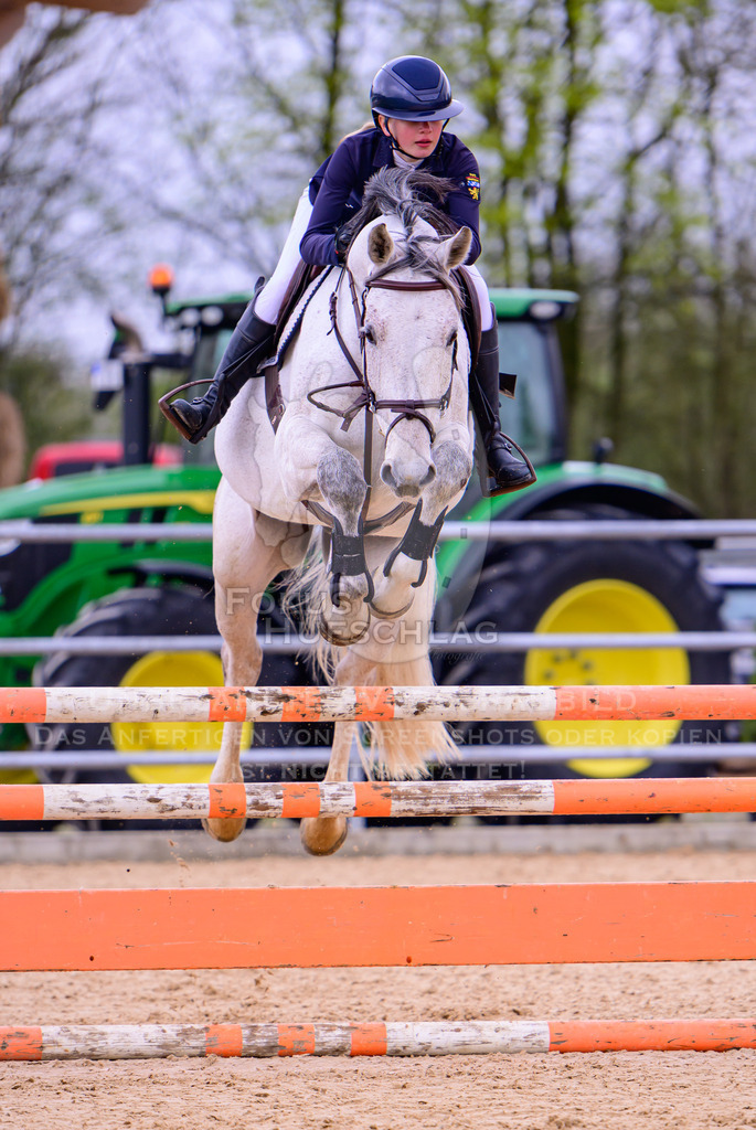 12042026-Mammendorf-Prfg39-0143 | Fokus Hufschlag Fotografie - Realisiert mit Pictrs.com