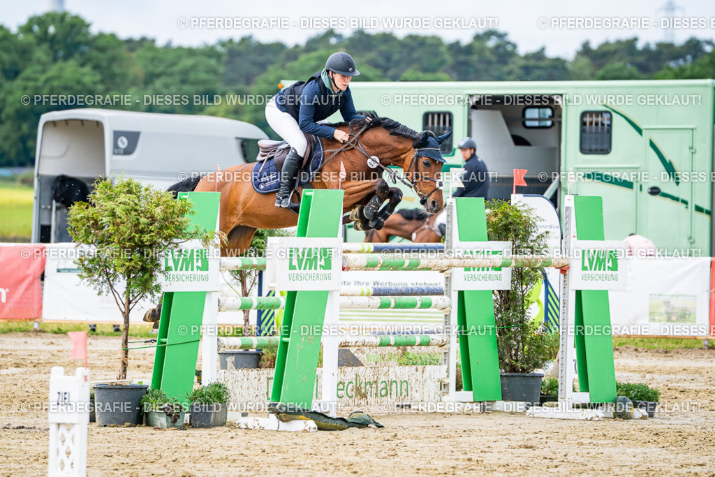 DSC03952 | Pferdegrafie