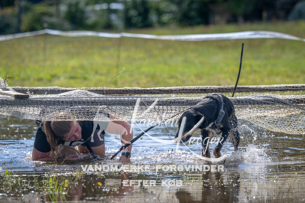 1300_ZZ90274 | kk-dogfotos