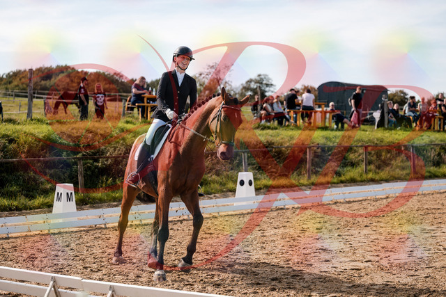 2026_10_03_Siefer-Hof_131054_Z63_74529708 | Professionelle Reitsport-, Turnier- und Eventfotografie von Robert Broda. Galerien mit ausgewählten und bearbeiteten Bildern direkt online ansehen und bestellen.