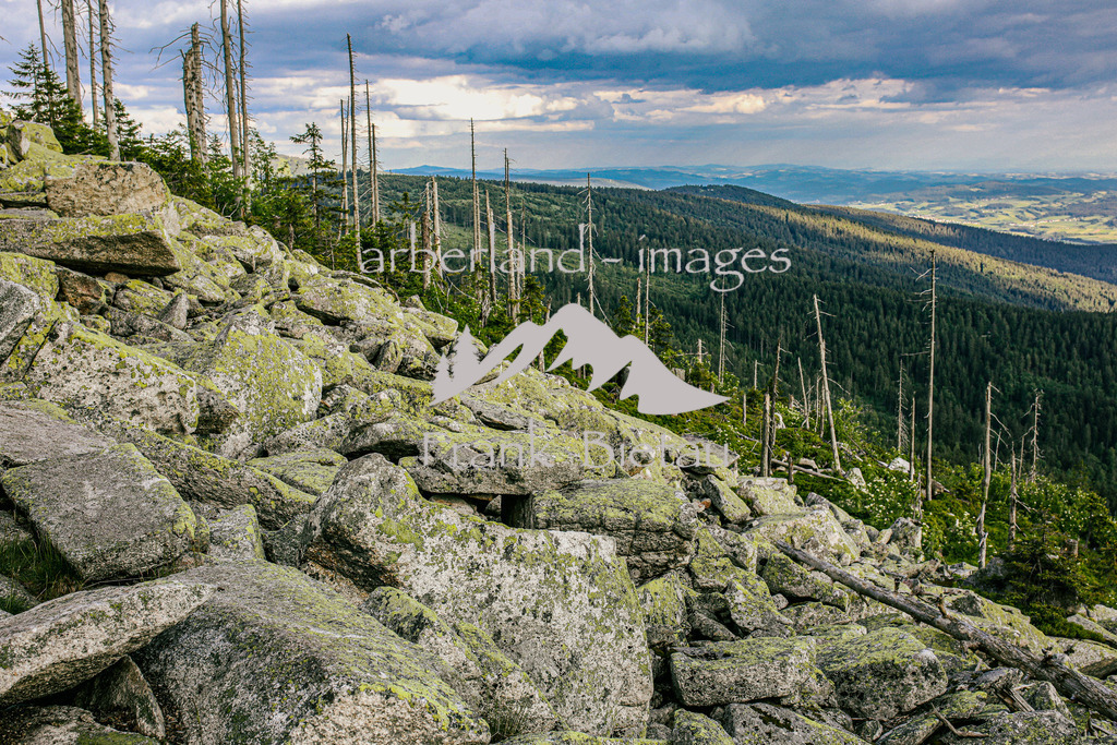OE7A4129 | das Steinerne Meer am Dreisessel, von hierwunderschöner Ausblick ins Mühlviertel, Österreich