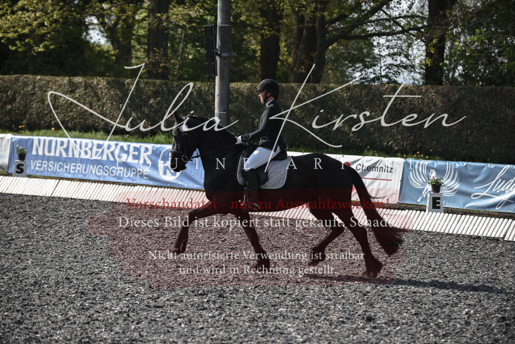 20230513_JK-Röhrsdorf-14-020 | Pferde- und Turnierfotografie in Westsachsen. Pferdeportraits, Auftragszeichnungen und intuitive Kunst.