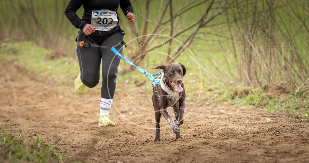 DV3A2520 | Hundefotografie, Tierfotograf, Pfotenfotografie, Fotoshooting Hund, Hunde Portrait, Hundesport, Hundeportraits, Heideshooting, Hunde, Sportfotograf, Hundefotograf, Turnierhundsport, THS,  - Realisiert mit Pictrs.com