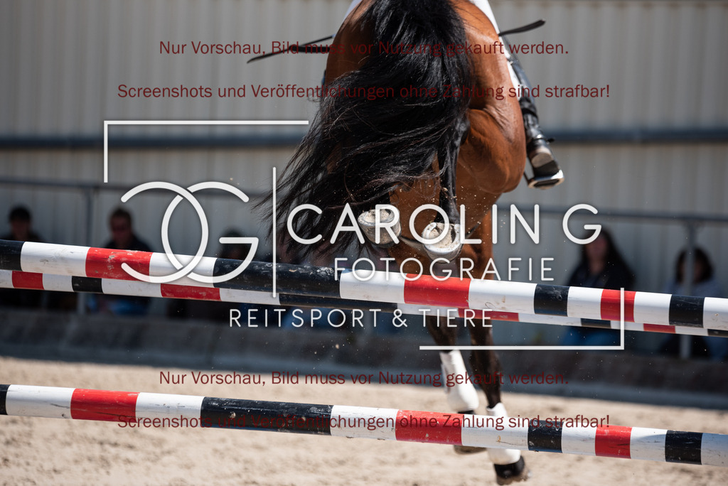 DSC_2327 | Turnierfotografin Carolin Gieschke, Turnierfotografie Carolin G Fotografie, Turnierfotos Kirchheim/Teck, Esslingen, Stuttgart, Bodenseekreis