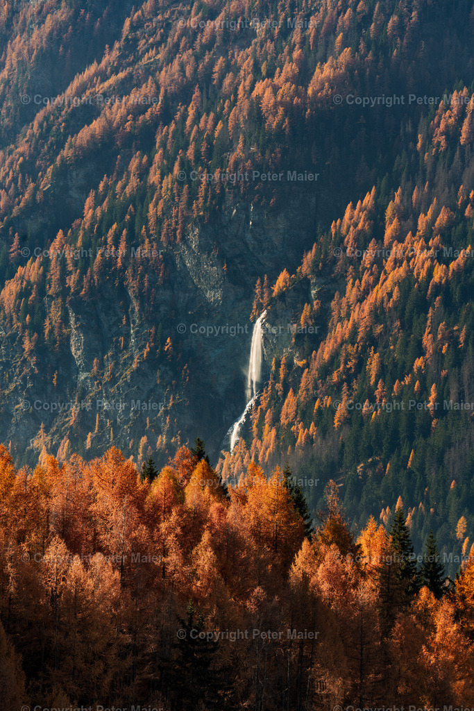 Jungfernsprung_Herbst_24-50 | piet_flosse