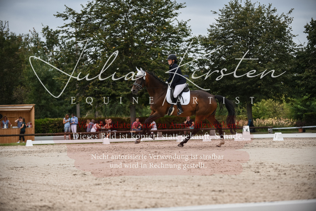 DSC_8467 | Pferde- und Turnierfotografie in Westsachsen. Pferdeportraits, Auftragszeichnungen und intuitive Kunst.