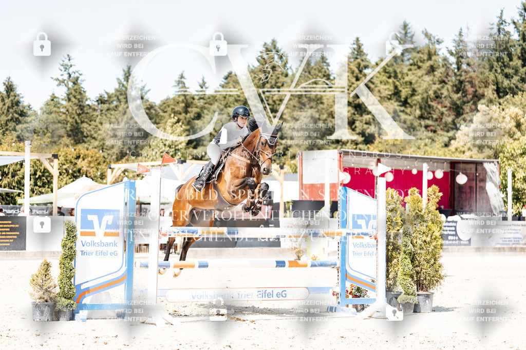 CK901007 | Turnierfotografie Pferdefotografie Trier Rheinland-Pfalz Pferdesport Reitsport Tierfotografie Sportfotografie Pferdevideo Pferdevideografie Equestrianvideography equestrianphotography  - Realisiert mit Pictrs.com