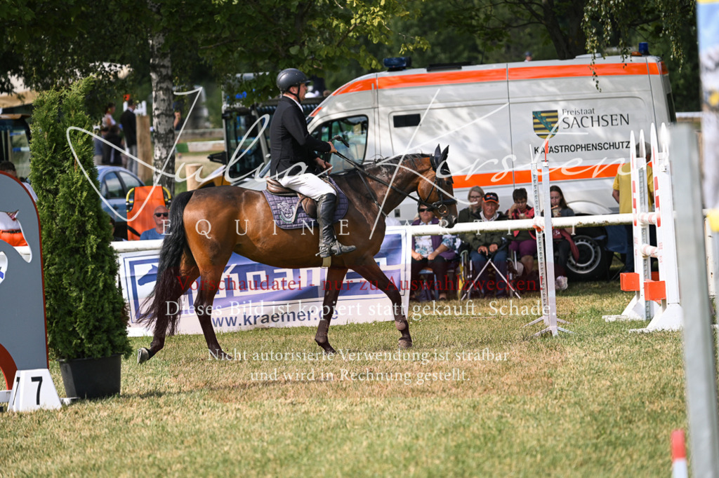 DSC_0764 | Pferde- und Turnierfotografie in Westsachsen. Pferdeportraits, Auftragszeichnungen und intuitive Kunst.