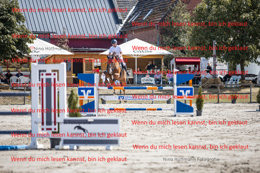BK1A6445 | Turnierbilder Turnierfotos Nina Hüffmann Turnierfotografie Pferdefotografie Tierzeichnung Haustierzeichnung Pferdezeichnung Hundezeichnung Videograf  - Realisiert mit Pictrs.com