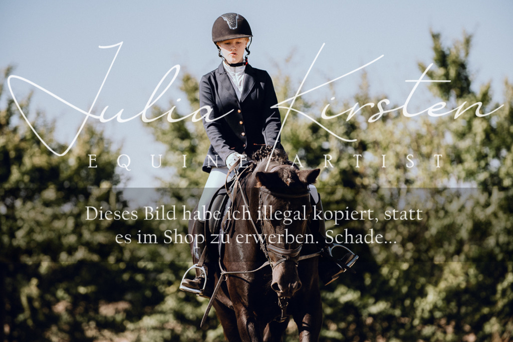 DSC_7213 | Pferde- und Turnierfotografie in Westsachsen. Pferdeportraits, Auftragszeichnungen und intuitive Kunst.