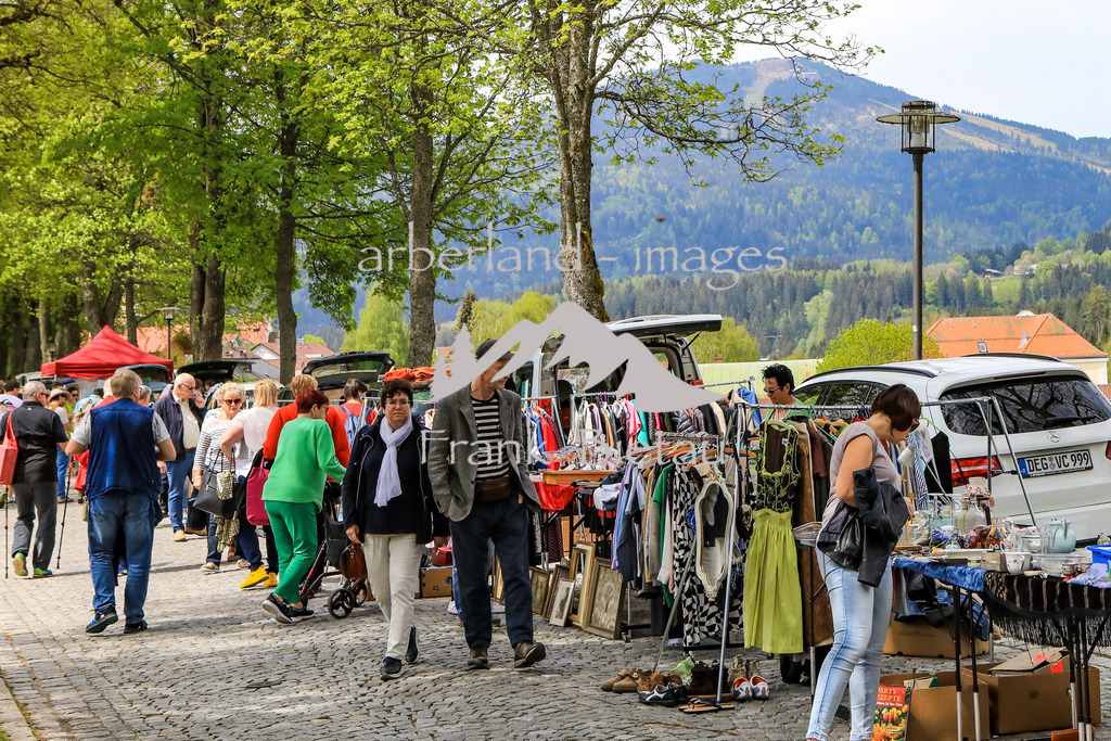 OE7A5565 | das schöne Wetter des Sonntag ermöglicht den Blick zum Großen Arber