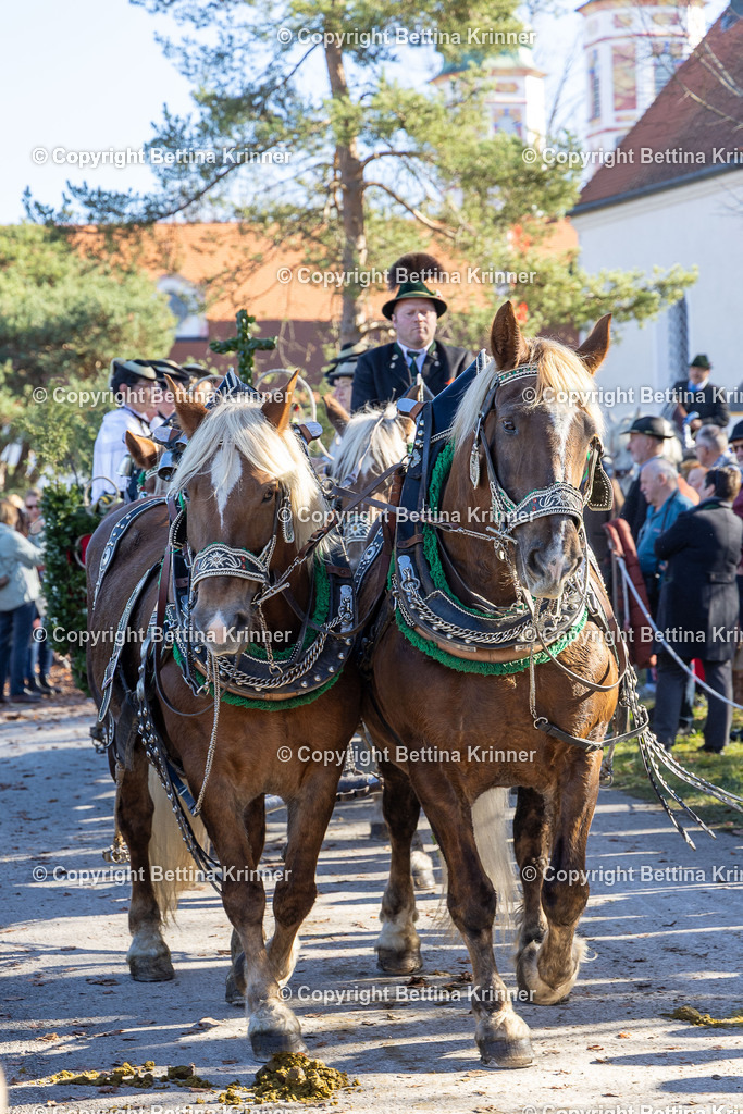 LBT25-1029 | foto-bettina-krinner - Realisiert mit Pictrs.com