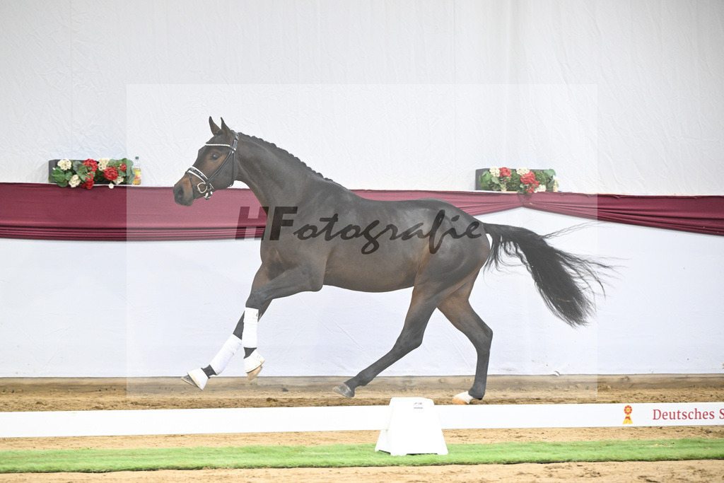 Kat-Nr. 21 St. Emilion x Quantensprung_Marianne Jerich_47250685 | hf-fotografie - Realisiert mit Pictrs.com