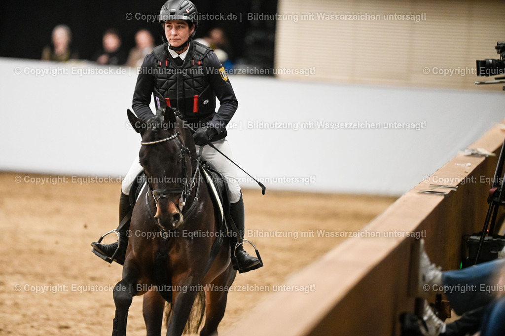 20260307_Hengstvorstellung-Marbach_0441 | equistock
