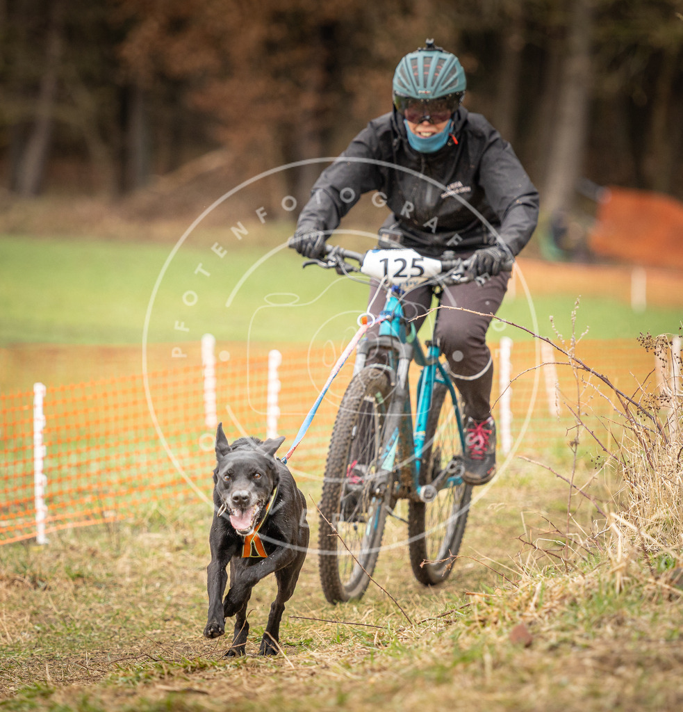 DV3A1160 | Hundefotografie, Tierfotograf, Pfotenfotografie, Fotoshooting Hund, Hunde Portrait, Hundesport, Hundeportraits, Heideshooting, Hunde, Sportfotograf, Hundefotograf, Turnierhundsport, THS,  - Realisiert mit Pictrs.com