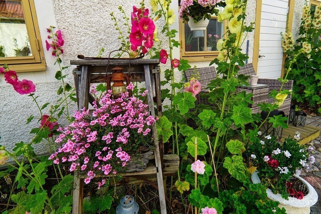 DSC05048 | Ich fotografiere leidenschaftlich Landschaften, Architektur, Portraits und Tiere - Realisiert mit Pictrs.com