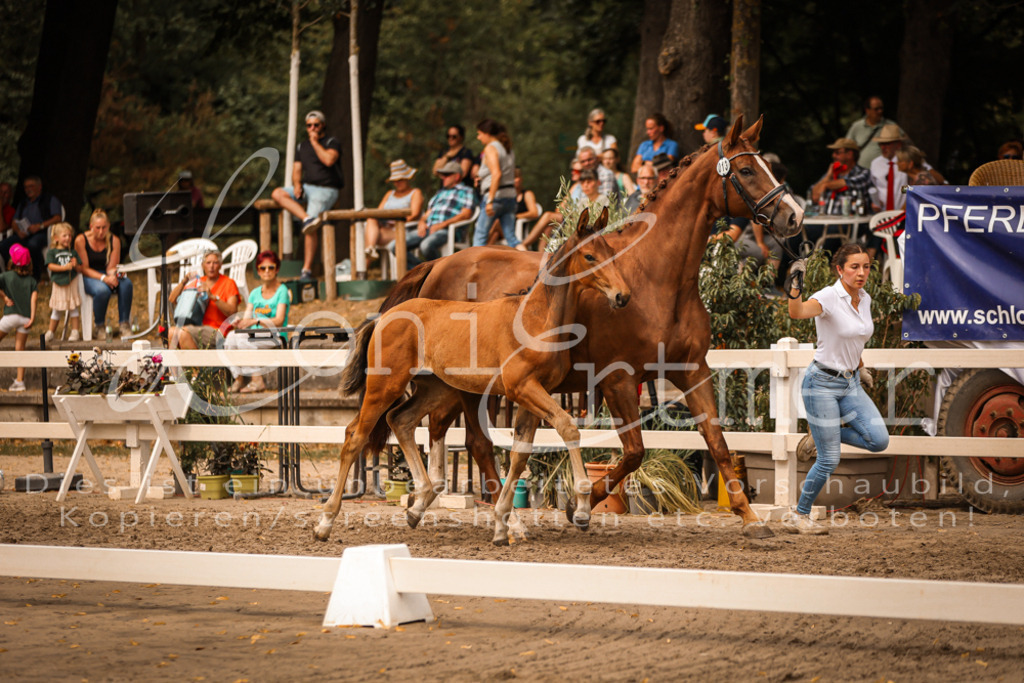 SaPA00177 | Leoni Ertmer Photography - Realisiert mit Pictrs.com