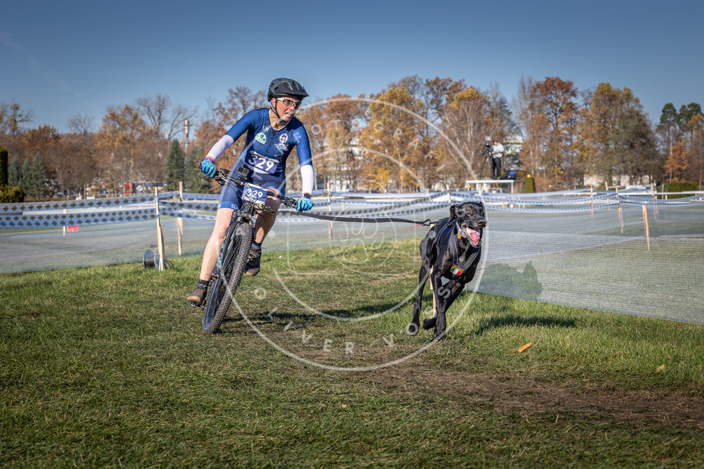 CaniXpix_0L8A5787 | Hundefotografie, Tierfotograf, Pfotenfotografie, Fotoshooting Hund, Hunde Portrait, Hundesport, Hundeportraits, Heideshooting, Hunde, Sportfotograf, Hundefotograf, Turnierhundsport, THS,  - Realisiert mit Pictrs.com