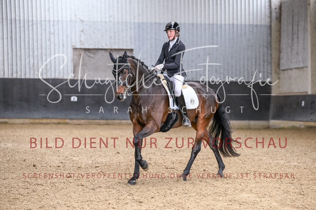 Schugtsche-Aluta25-57.Dressurprf.M1Kand-226 | Schugtsche Fotografie - Realisiert mit Pictrs.com