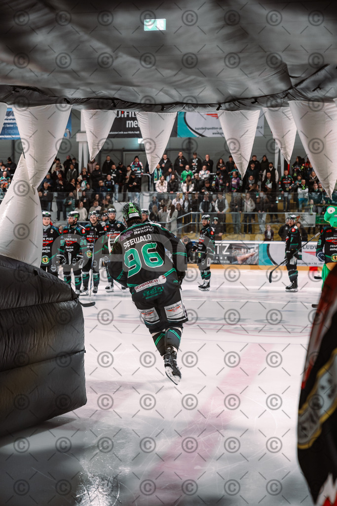 Alligators_vs_Stuttgart_16_11_2025-45 | Höchstadt Alligators Fotogalerie: Eishockey-Action aus Franken. Professionelle Spielfotos, Portraits & Stadionbilder zum Download. Jetzt entdecken! - Realisiert mit Pictrs.com