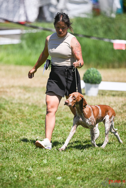 CACIB Aarau | CACIB Aarau, Swiss Dog Show  29062025 Foto: Leo Wyden
