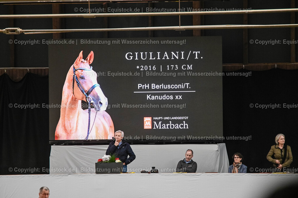 20260307_Hengstvorstellung-Marbach_0308 | equistock