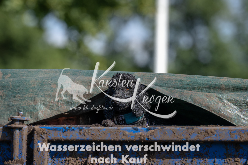 1426_ZZ91002 | kk-dogfotos