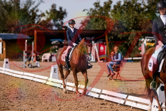 2026_10_03_Siefer-Hof_133200_Z81_87730914 | Professionelle Reitsport-, Turnier- und Eventfotografie von Robert Broda. Galerien mit ausgewählten und bearbeiteten Bildern direkt online ansehen und bestellen.