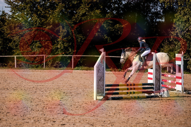 2026_10_03_Siefer-Hof_154533_Z81_64260492 | Professionelle Reitsport-, Turnier- und Eventfotografie von Robert Broda. Galerien mit ausgewählten und bearbeiteten Bildern direkt online ansehen und bestellen.