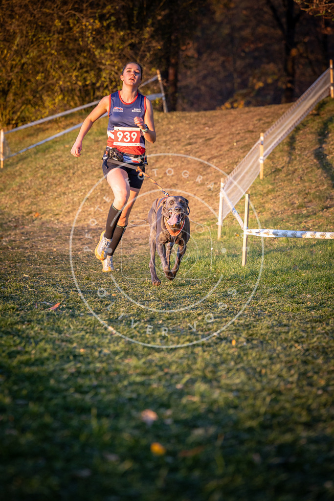 CaniXpix_0L8A1864 | Hundefotografie, Tierfotograf, Pfotenfotografie, Fotoshooting Hund, Hunde Portrait, Hundesport, Hundeportraits, Heideshooting, Hunde, Sportfotograf, Hundefotograf, Turnierhundsport, THS,  - Realisiert mit Pictrs.com
