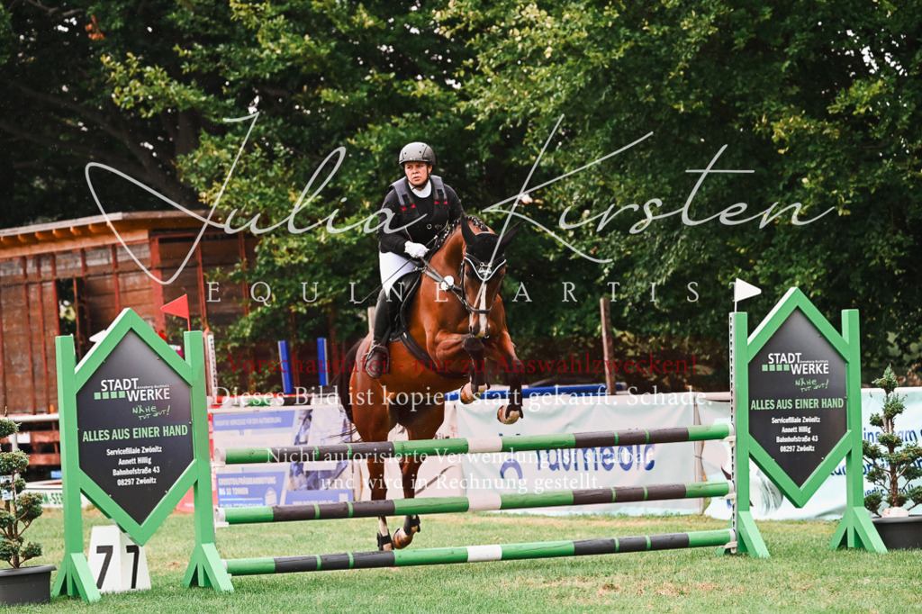 DSC_6581 | Pferde- und Turnierfotografie in Westsachsen. Pferdeportraits, Auftragszeichnungen und intuitive Kunst.