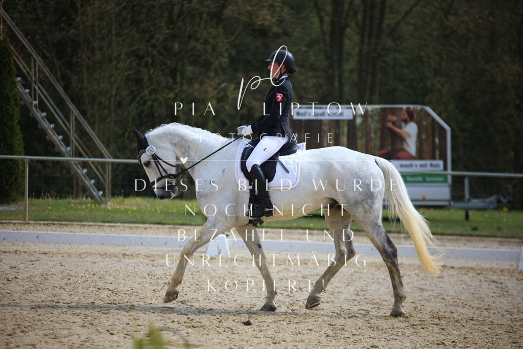 IMGT4884 | pl-fotografie