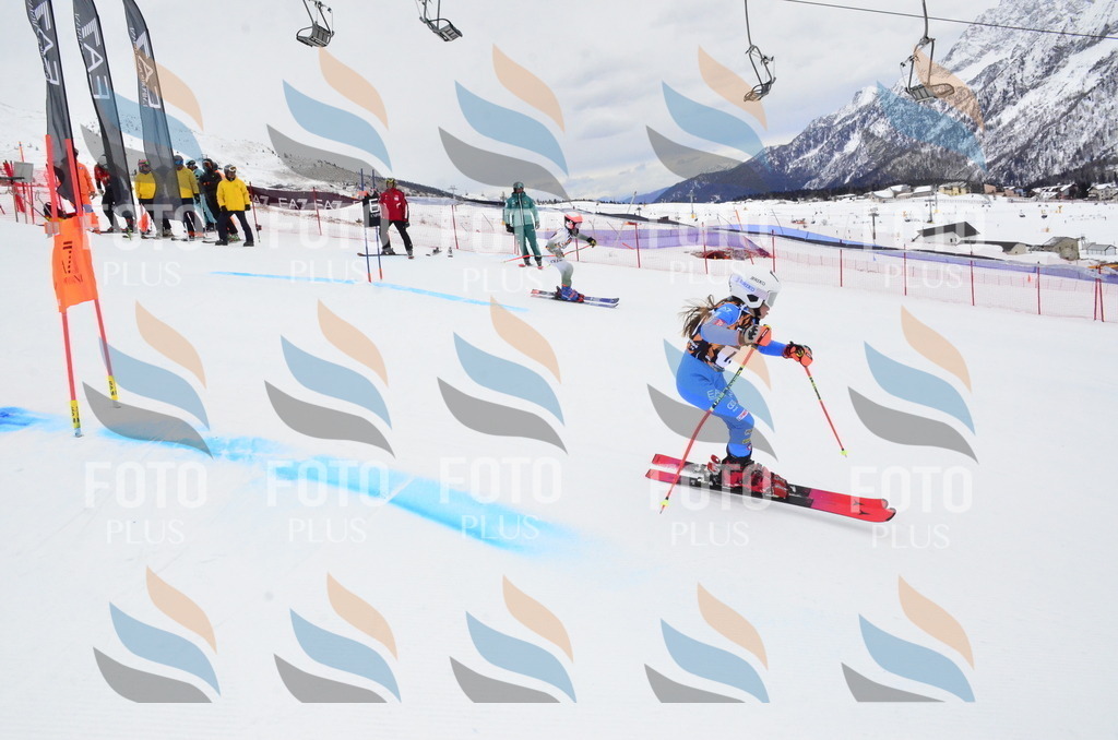 _ELE4018 | holidayphoto