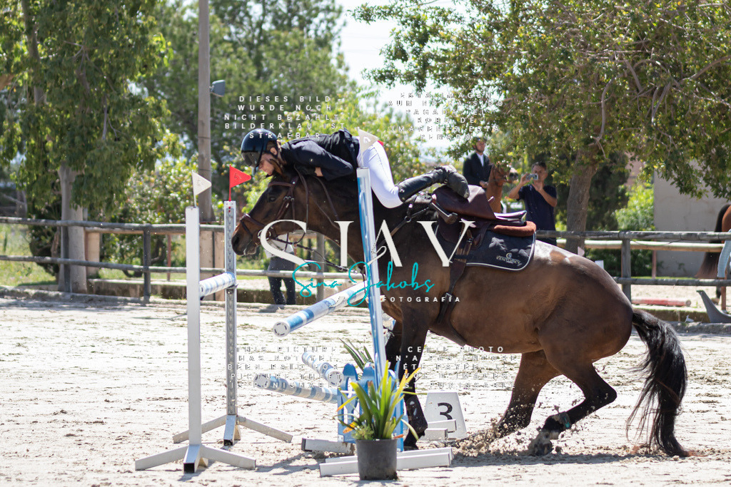 IMG_9936 | s-jay-photography - Realisiert mit Pictrs.com