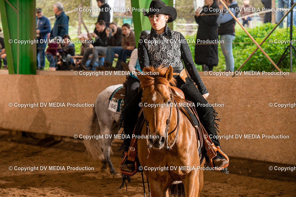 BAL01522 | dv-media-shop - Realisiert mit Pictrs.com