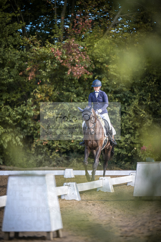 DOS_0426 | Entdecke hochwertige Reitturnierfotos von Foto Oger. Professionell, emotional und authentisch – jetzt Lieblingsmomente im Shop bestellen.Deutschlandweite Turnierfotografie. - Realisiert mit Pictrs.com