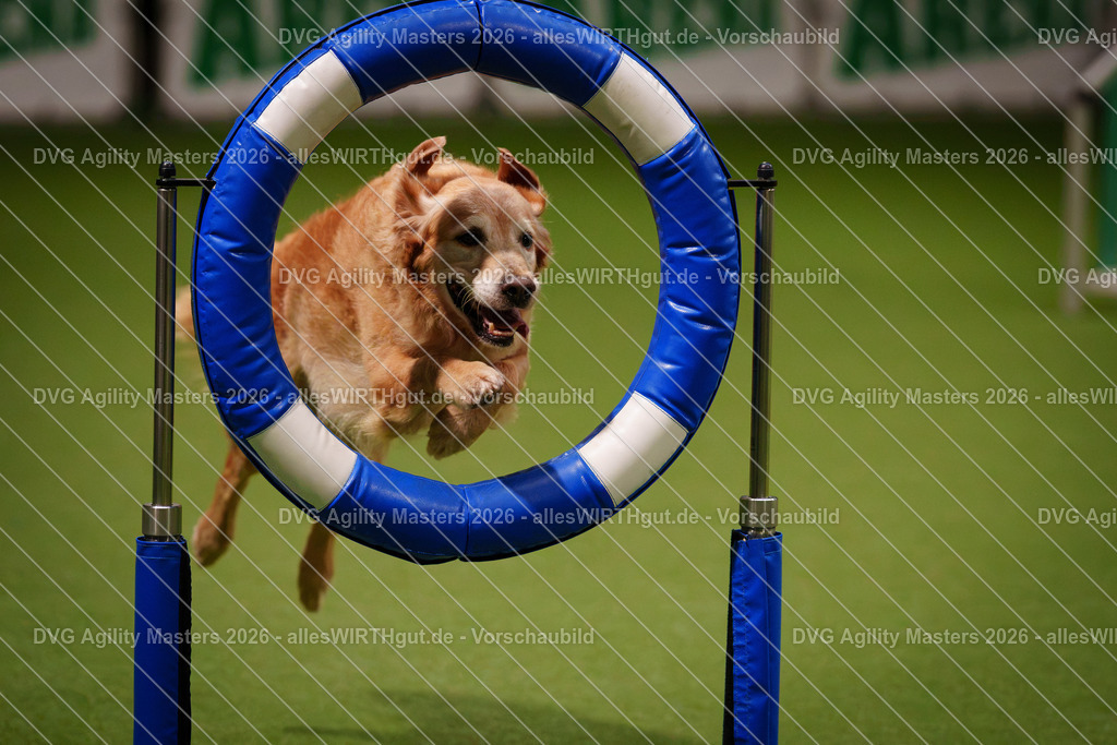 allesWIRTHgut_Tierfotografie-DVG_Agility_Masters_2026-07_33-7R507385 | Professionelle Tierfotografie in Mönchengladbach von Daniel Wirth (allesWIRTHgut). Liebevolle & natürliche Bilder von Hunden & Katzen für unvergessliche Erinnerungen.