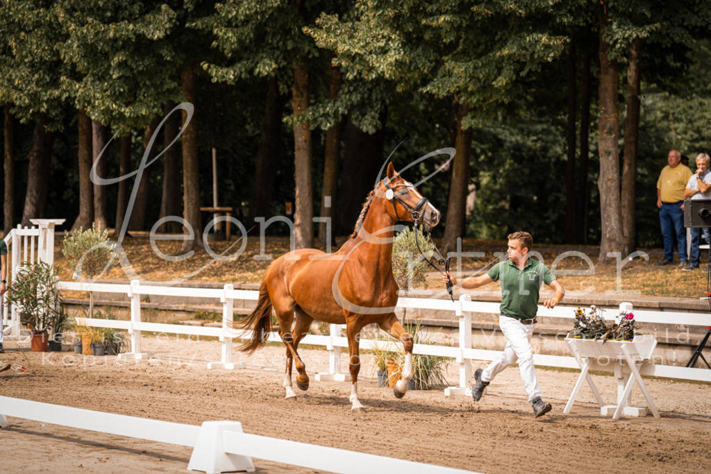 4.Fr00162 | Leoni Ertmer Photography - Realisiert mit Pictrs.com