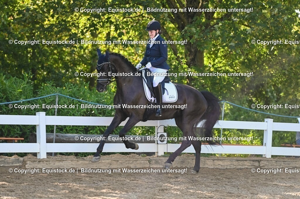 20230715_06_Dressurpferdeprfg. Kl.A_0183 | equistock