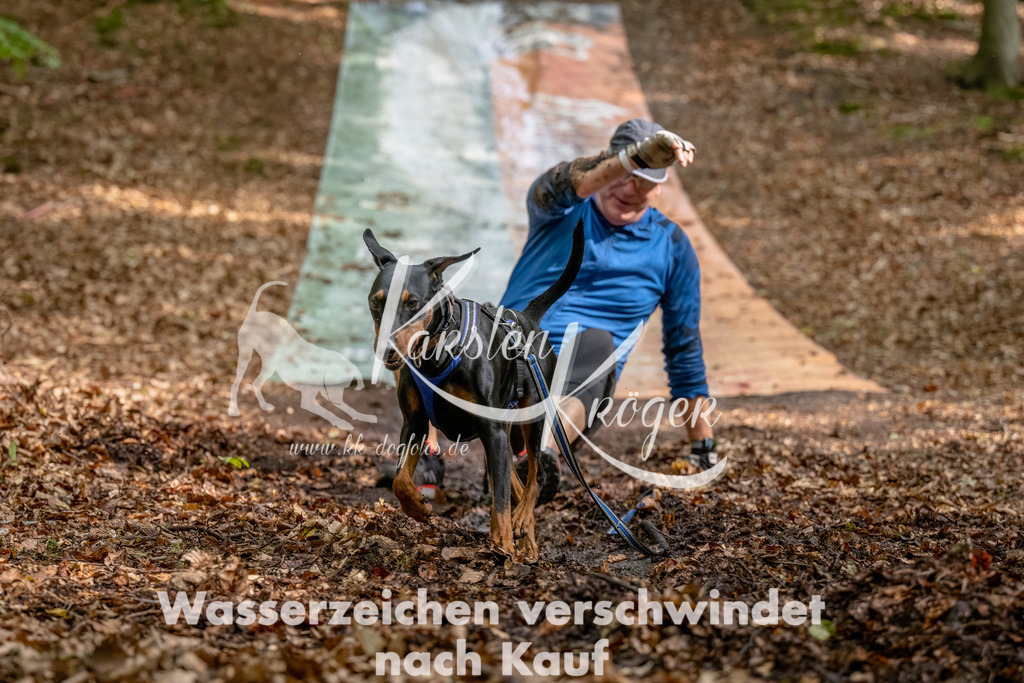 1252_ZZ91297-Bearbeitet | kk-dogfotos