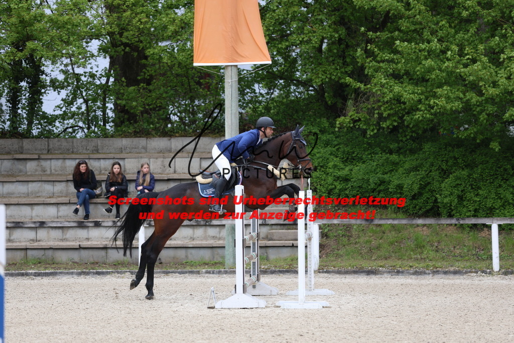 A40A4530 | lmwpictures - Realisiert mit Pictrs.com