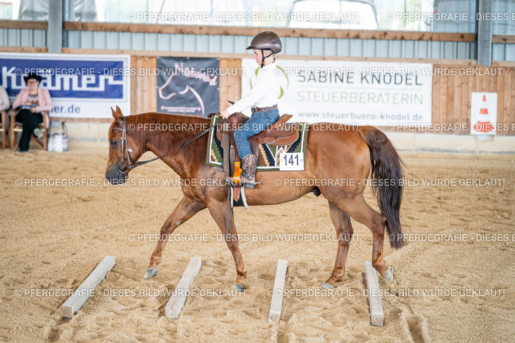 DSC03116 | Pferdegrafie