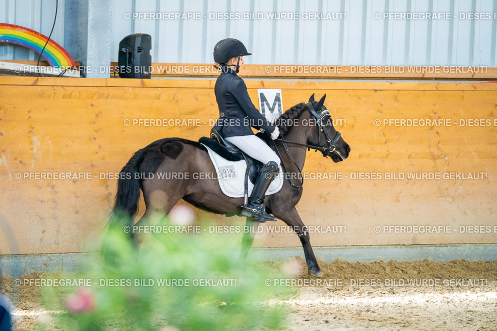 DSC06646 | Pferdegrafie