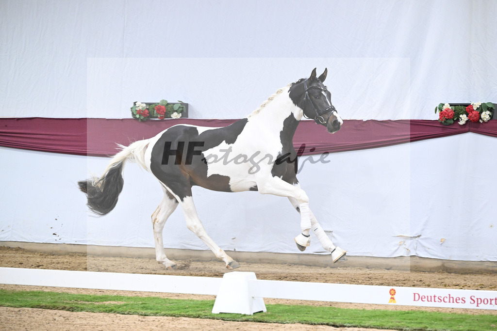 Kat-Nr. 117 Classic Deluxe x Don Martillo_Horst Schepper_47254042 | hf-fotografie - Realisiert mit Pictrs.com