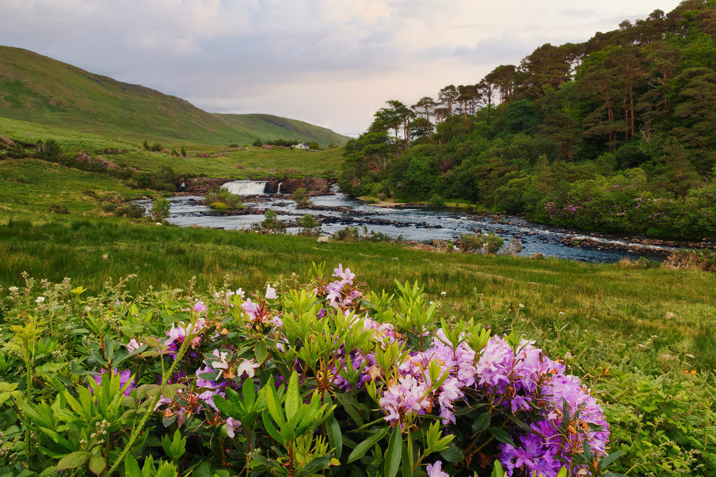 Little Waterfall | Aasleagh Falls am Wild Atlantic Way in Irland. - Realisiert mit Pictrs.com