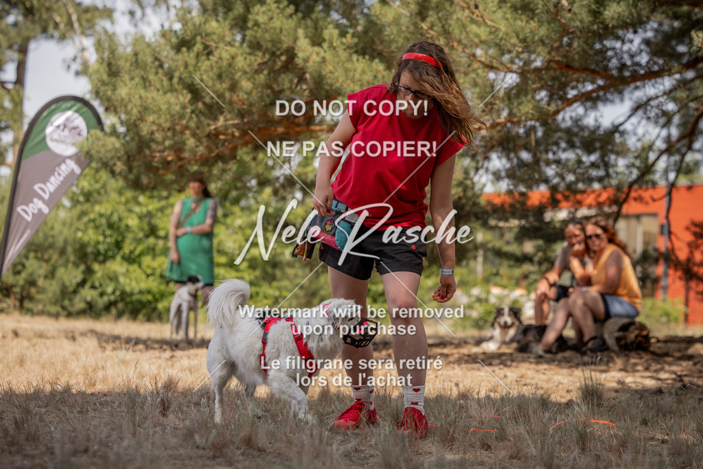 nelerasche_soDD2_387 | nelerasche